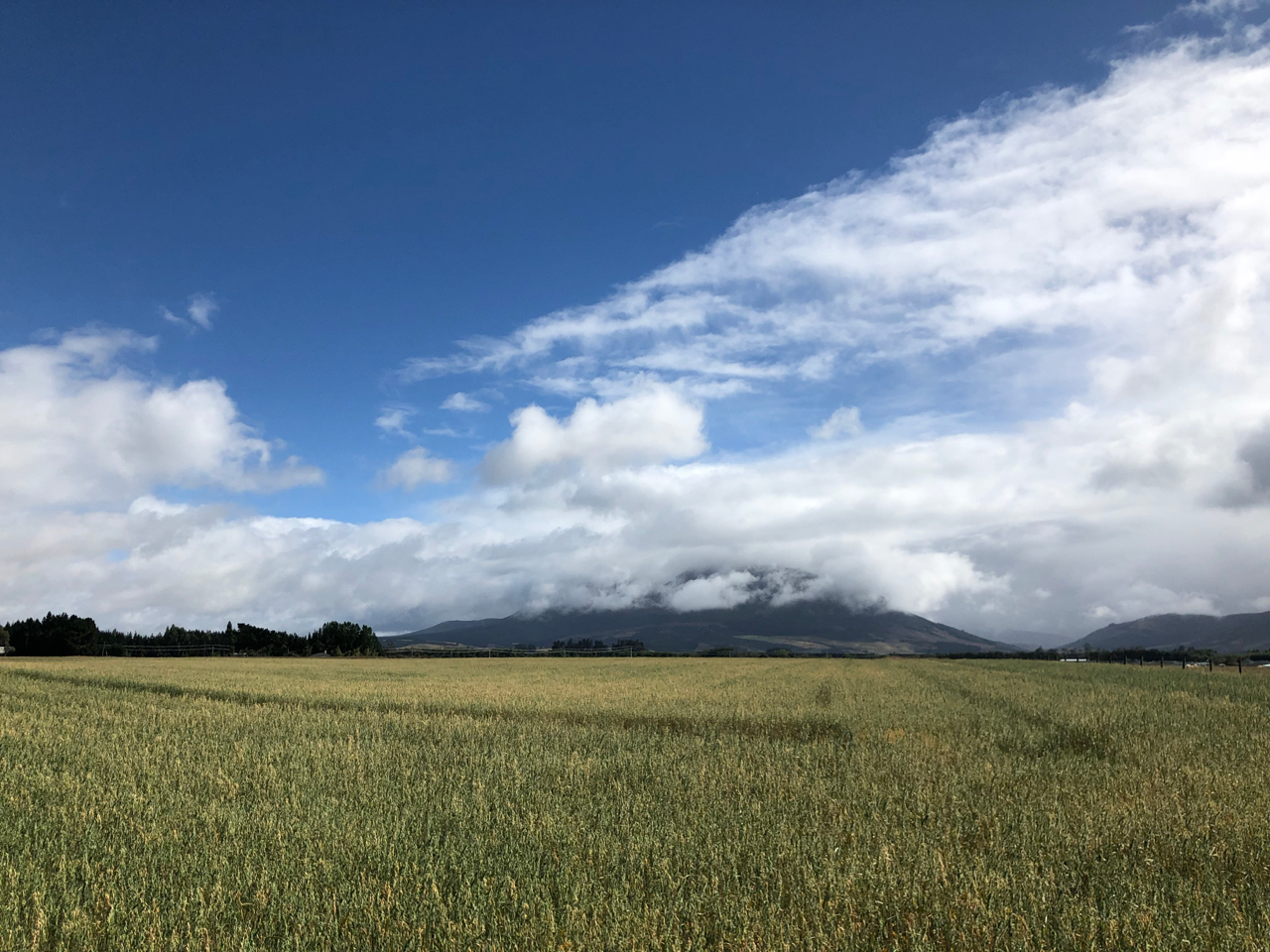 Новая Зеландия. Часть II. Восточное побережье.
