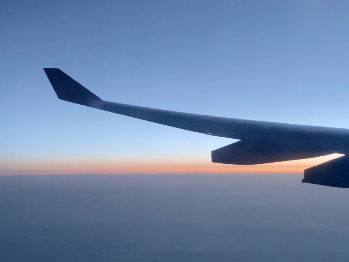 Приключения начинаются