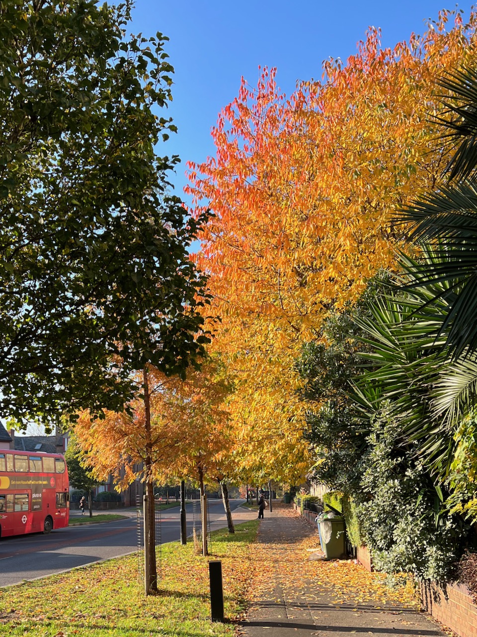 Я снова верю?